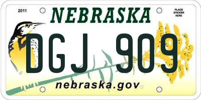 NE license plate DGJ909