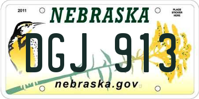 NE license plate DGJ913