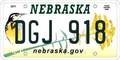 NE license plate DGJ918