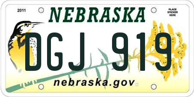 NE license plate DGJ919