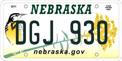NE license plate DGJ930