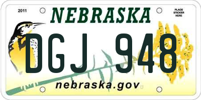 NE license plate DGJ948