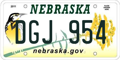 NE license plate DGJ954
