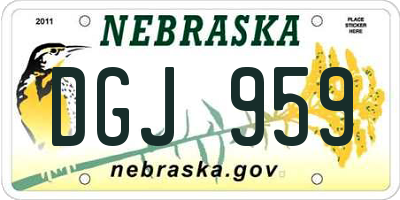NE license plate DGJ959