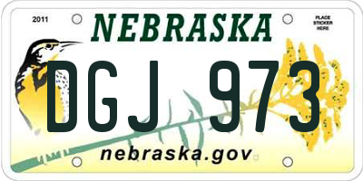 NE license plate DGJ973