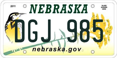 NE license plate DGJ985