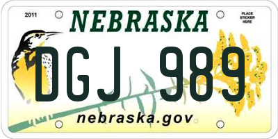 NE license plate DGJ989