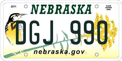NE license plate DGJ990
