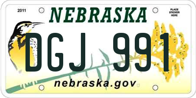 NE license plate DGJ991