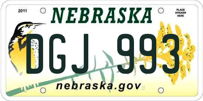 NE license plate DGJ993
