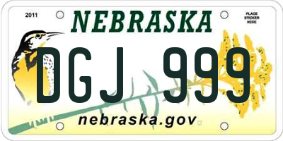 NE license plate DGJ999