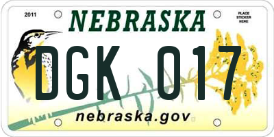 NE license plate DGK017