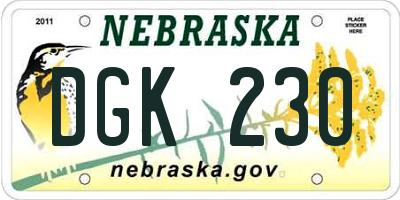 NE license plate DGK230