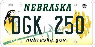 NE license plate DGK250