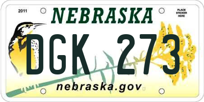 NE license plate DGK273