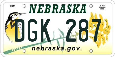 NE license plate DGK287