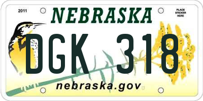 NE license plate DGK318