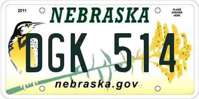NE license plate DGK514