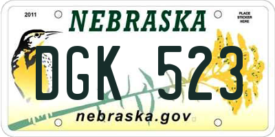 NE license plate DGK523