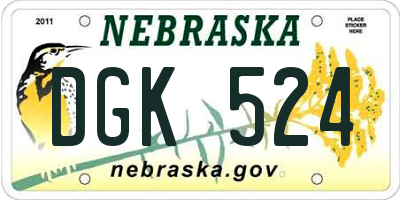 NE license plate DGK524