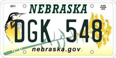 NE license plate DGK548