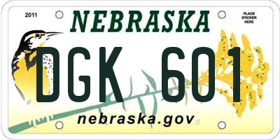 NE license plate DGK601