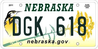 NE license plate DGK618
