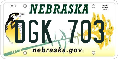NE license plate DGK703