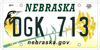 NE license plate DGK713