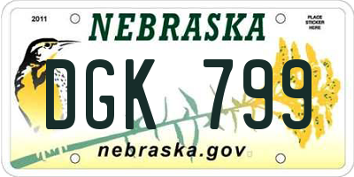 NE license plate DGK799