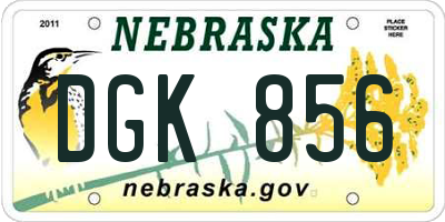 NE license plate DGK856