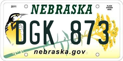 NE license plate DGK873