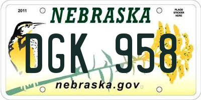 NE license plate DGK958