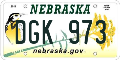 NE license plate DGK973
