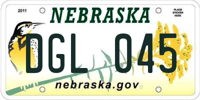 NE license plate DGL045