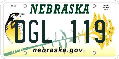 NE license plate DGL119