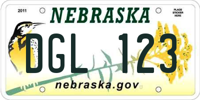 NE license plate DGL123