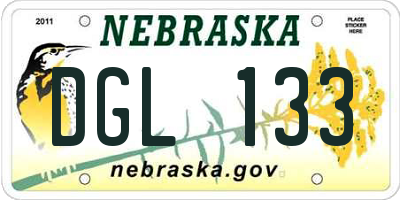 NE license plate DGL133