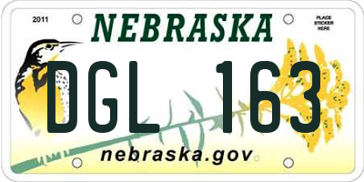NE license plate DGL163