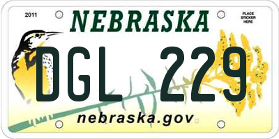 NE license plate DGL229