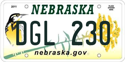 NE license plate DGL230