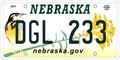 NE license plate DGL233