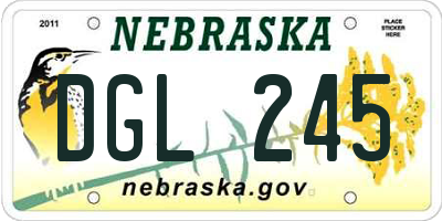 NE license plate DGL245