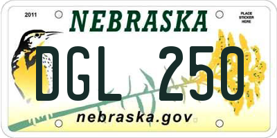 NE license plate DGL250