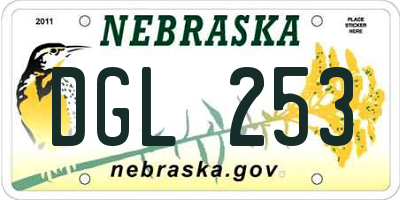 NE license plate DGL253