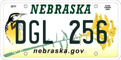 NE license plate DGL256