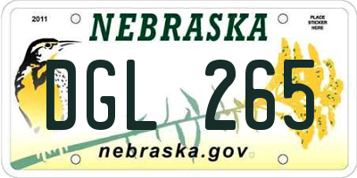 NE license plate DGL265