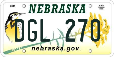 NE license plate DGL270