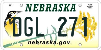 NE license plate DGL271