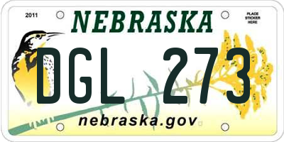 NE license plate DGL273